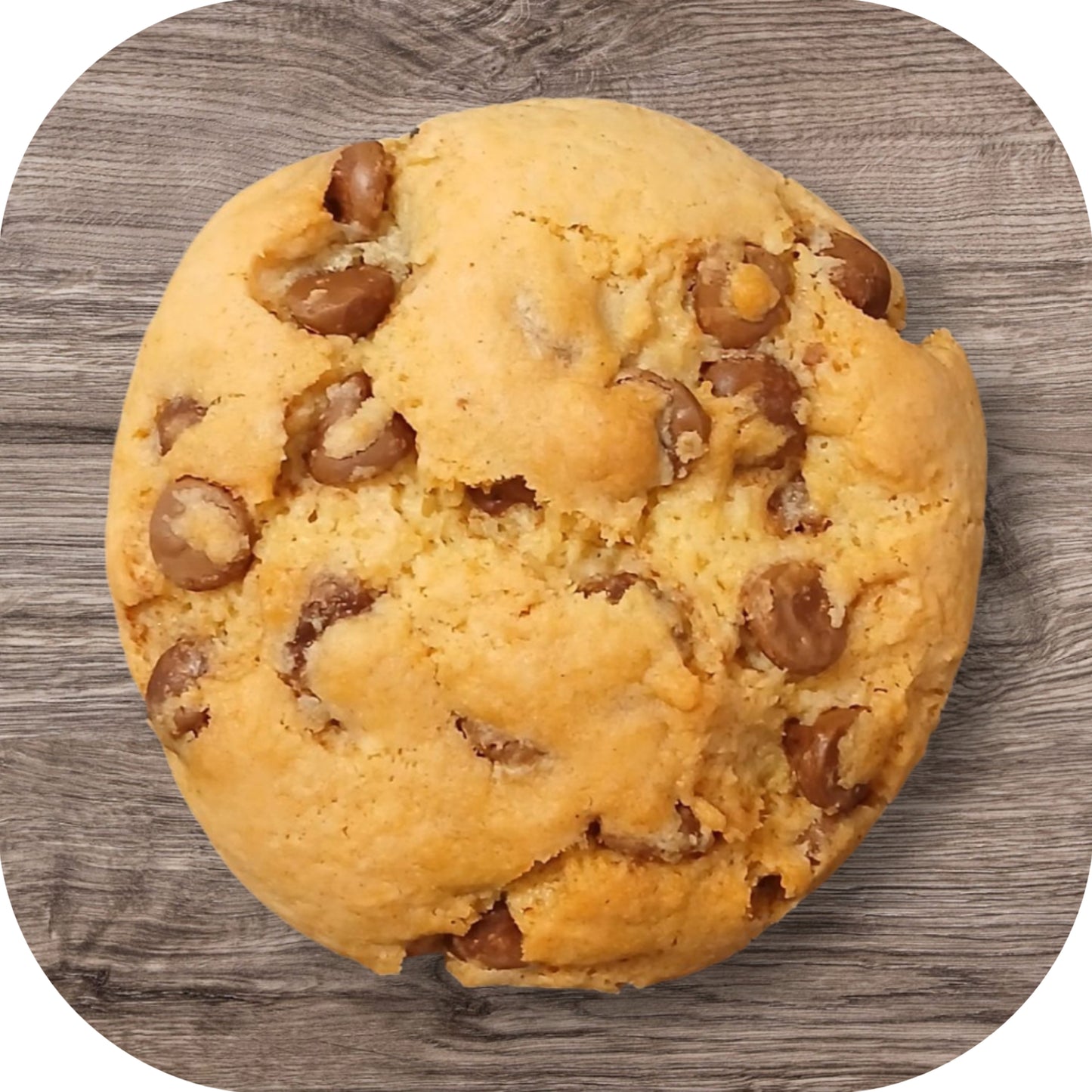 Chocolate Chip Cookie